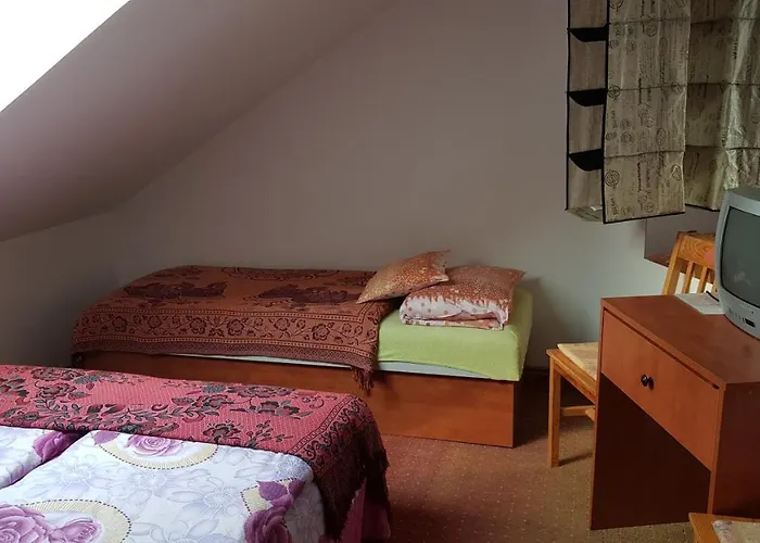 Pensjonat Meszoely Vendeghaz 3*
